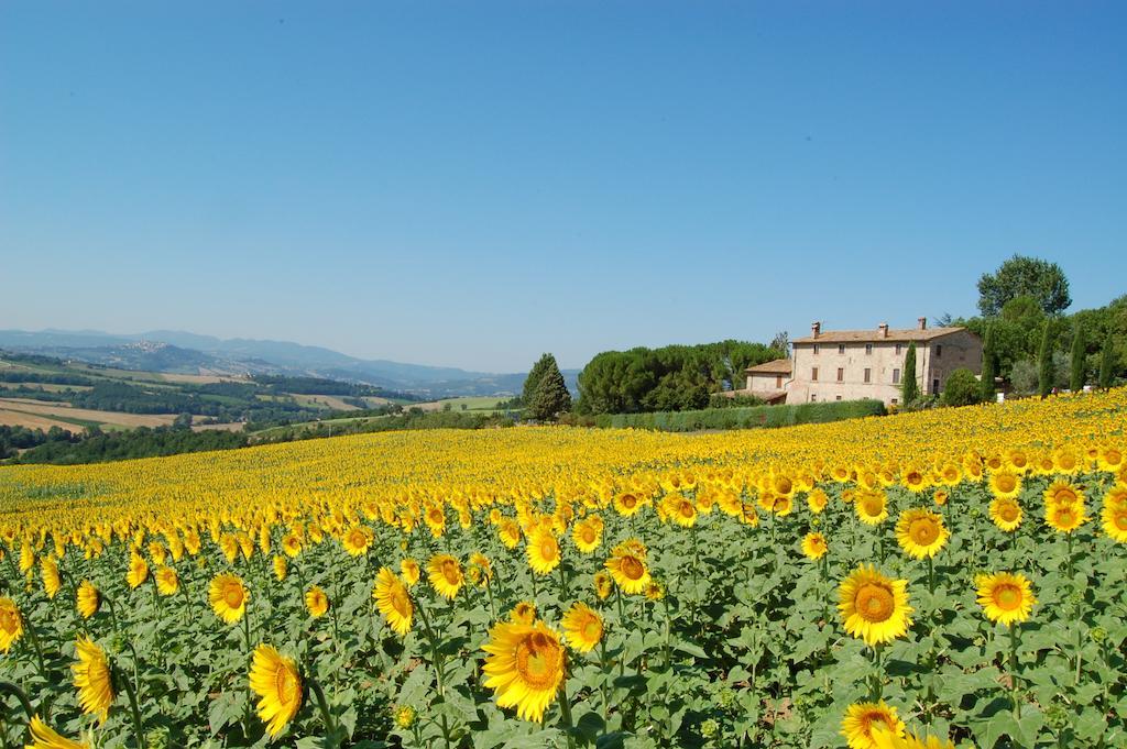 Agriturismo Casale Dei Frontini San Terenziano Ngoại thất bức ảnh
