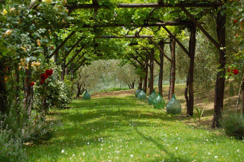 Agriturismo Casale Dei Frontini San Terenziano Ngoại thất bức ảnh
