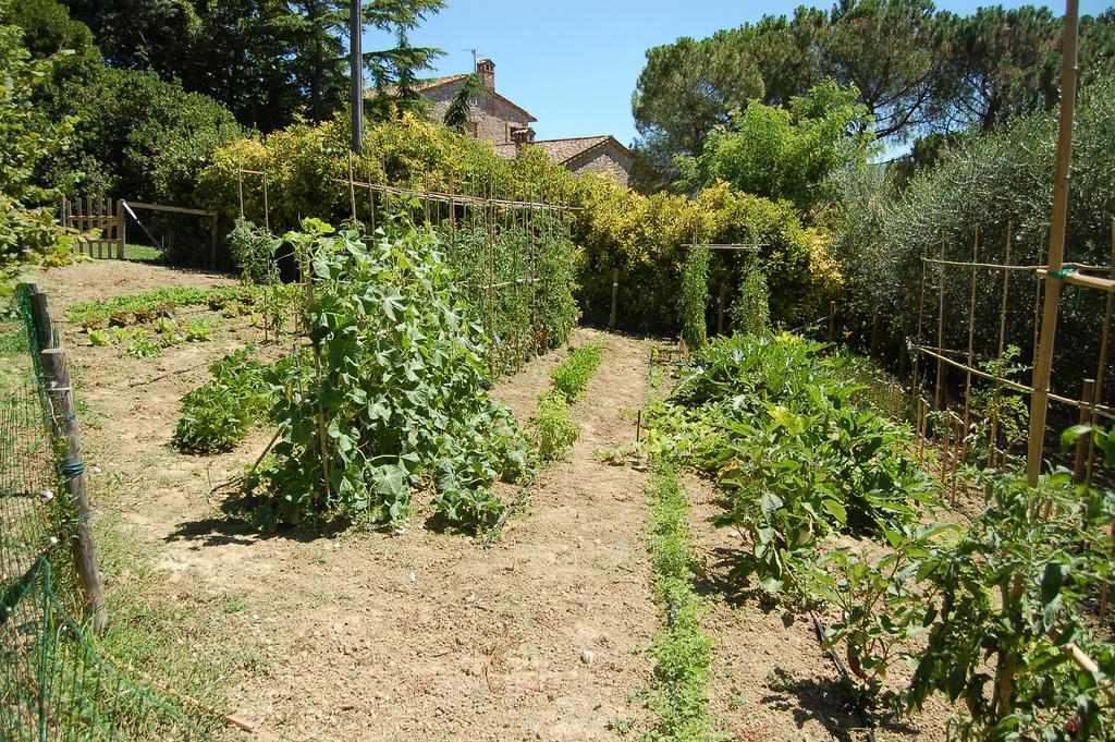 Agriturismo Casale Dei Frontini San Terenziano Ngoại thất bức ảnh