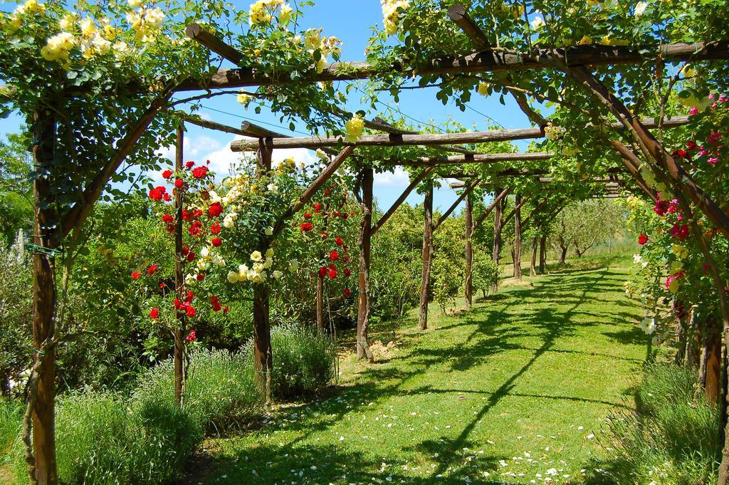 Agriturismo Casale Dei Frontini San Terenziano Ngoại thất bức ảnh