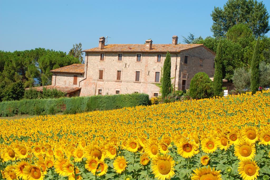 Agriturismo Casale Dei Frontini San Terenziano Ngoại thất bức ảnh