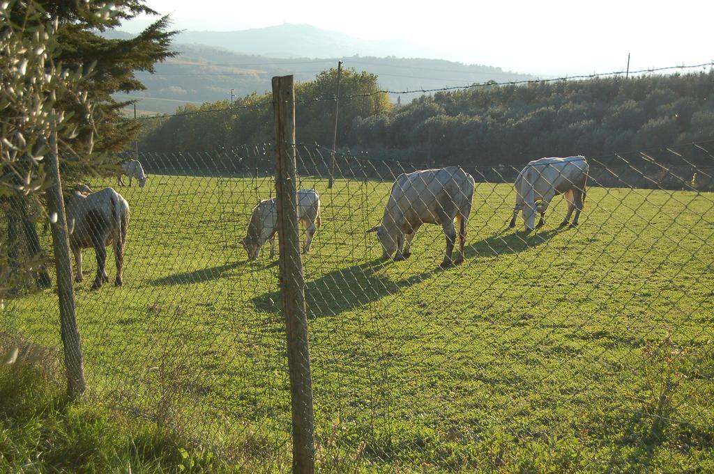 Agriturismo Casale Dei Frontini San Terenziano Ngoại thất bức ảnh