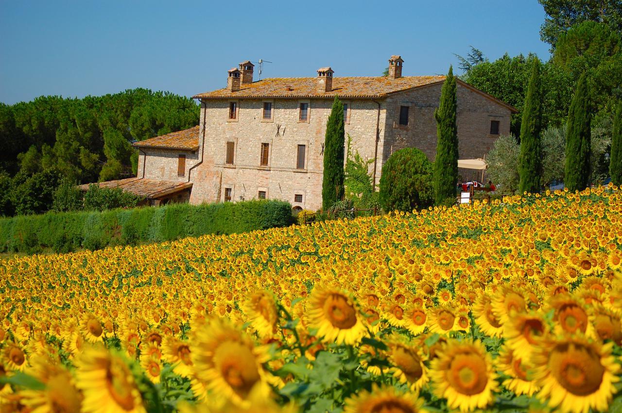 Agriturismo Casale Dei Frontini San Terenziano Ngoại thất bức ảnh